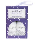 Alcôve Holiday Ornament - CARE 2 pc.