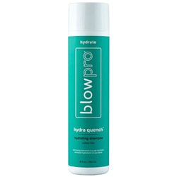 blowpro hydra quench daily hydrating shampoo 8 Fl. Oz.