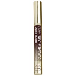 BRAZILIAN BLOWOUT Conceal & Tame Polishing Wand 0.25 Fl. Oz.
