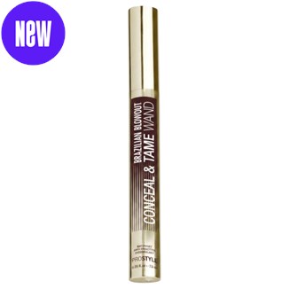 BRAZILIAN BLOWOUT Conceal & Tame Polishing Wand 0.25 Fl. Oz.