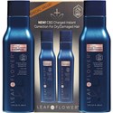 LEAF & FLOWER CBD Instant Damage Correction Duo Pack 2 pc.