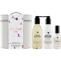 Oligo Calura Moisture Holiday Kit 4 pc.