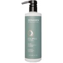 Zenagen Anti-Gray Color Preservation Shampoo 16 Fl. Oz.